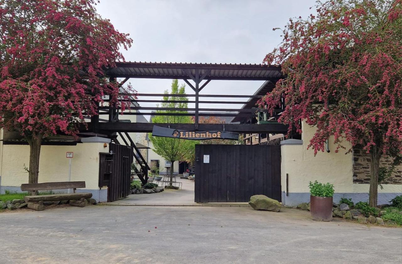 Schoene Wohnung Kleiner Onkel Auf Idyllischem Reiterhof Nahe Burg Eltz Münstermaifeld Zewnętrze zdjęcie